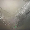 computer.garden's avatar