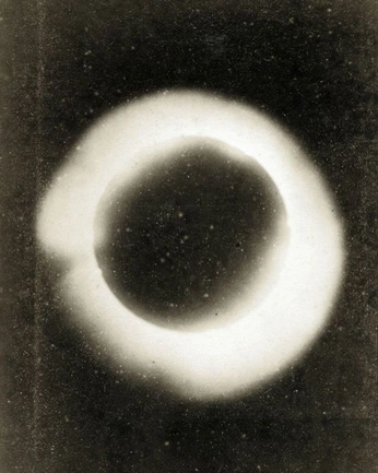 A cover of "Animation ideas" cluster. The owner is latebloom. The cluster consists of 17 elements.