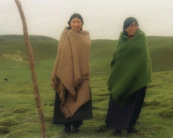 A cover of "Peru" cluster. The owner is analamounier. The cluster consists of 19 elements.