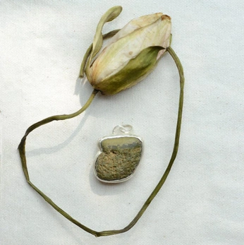 A cover of "Flowers" cluster. The owner is dinewo. The cluster consists of 3 elements.