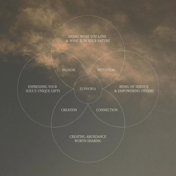 A cover of "d" cluster. The owner is dd228. The cluster consists of 156 elements.