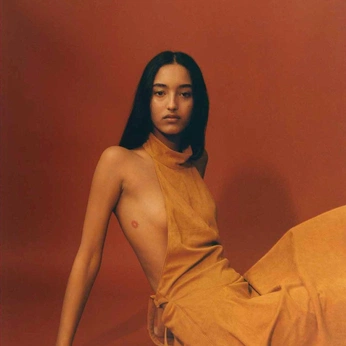 A cover of "Poses" cluster. The owner is 45tvc15. The cluster consists of 61 elements.