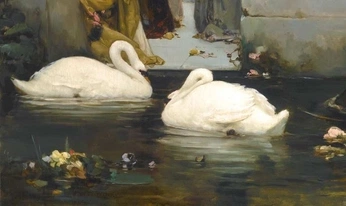 A cover of "fotografia" cluster. The owner is dminervas20. The cluster consists of 142 elements.