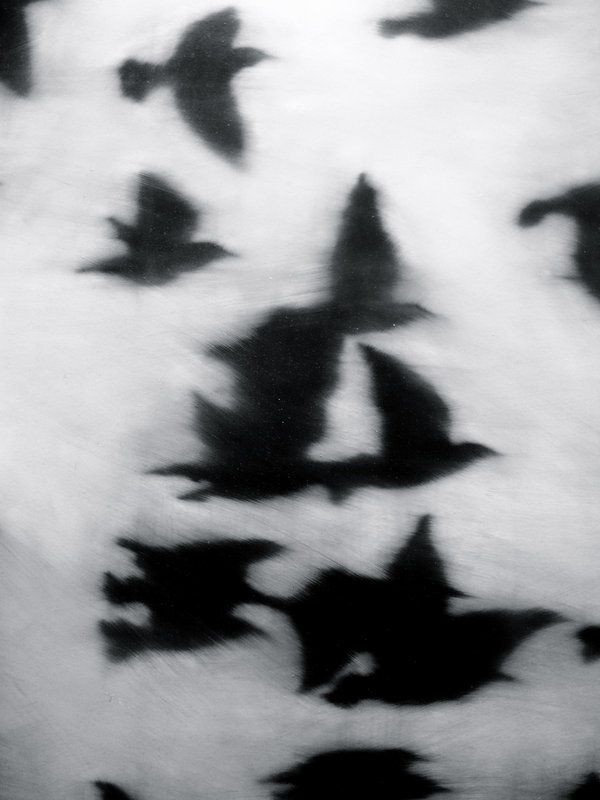 A Pinterest pin added by xcijam on Dec 30, 2024. The author is hisham. May present: photography, art, photograph, image.