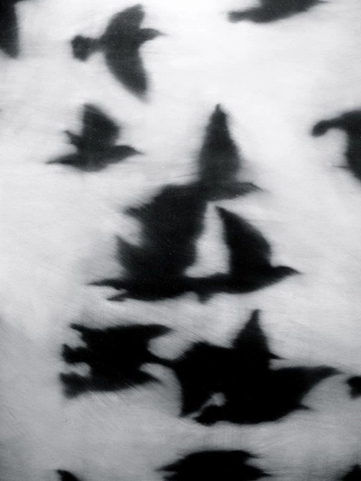 A Pinterest pin added by xcijam on Dec 30, 2024. The author is hisham. May present: photography, art, photograph, image.