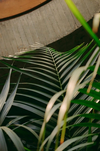 A cover of "film" cluster. The owner is rosiomrtnz. The cluster consists of 1 element.