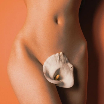 A cover of "Calalilly" cluster. The owner is elizaarielle. The cluster consists of 2 elements.