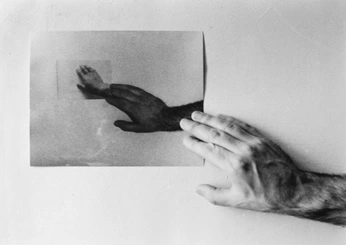 A cover of "self —" cluster. The owner is okdeon. The cluster consists of 4 elements.