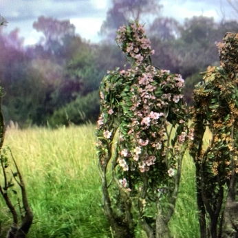 A cover of "Kieran Dirgewood" cluster. The owner is northyme. The cluster consists of 49 elements.