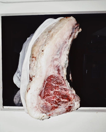 A cover of "Meat" cluster. The owner is jeremyk. The cluster consists of 25 elements.