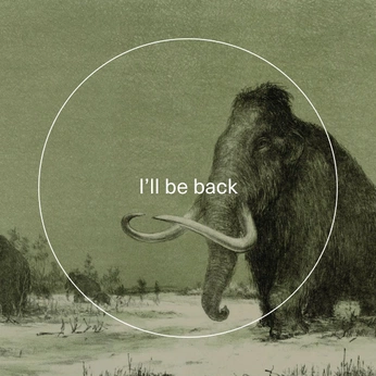 A cover of "icons" cluster. The owner is aminokiclot. The cluster consists of 2 elements.