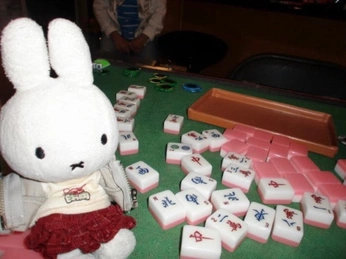 A cover of "miffy" cluster. The owner is rosewhoknowswho. The cluster consists of 23 elements.