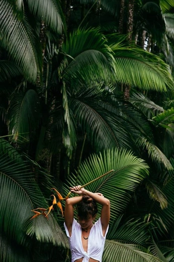 A cover of "Radionatura Junio" cluster. The owner is bafri. The cluster consists of 19 elements.
