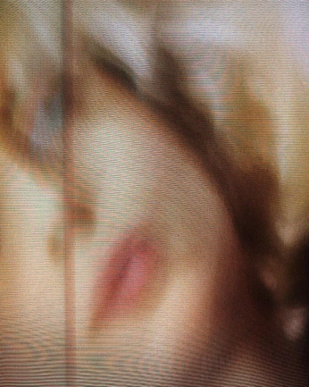 A cover of "transeverything" cluster. The owner is vermehrtschoenes. The cluster consists of 5 elements.