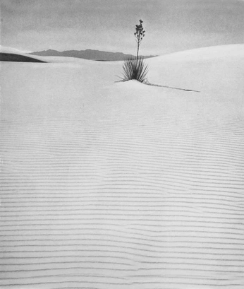 A cover of "Desert" cluster. The owner is kesia. The cluster consists of 1 element.