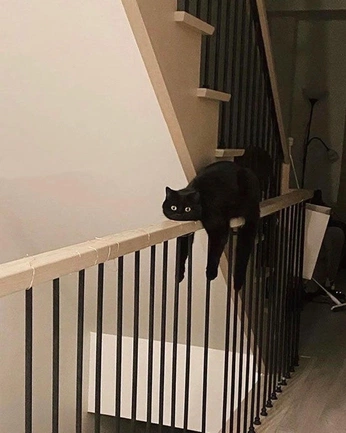 A cover of "rocks in my brain" cluster. The owner is kacperdrwenski. The cluster consists of 3 elements.