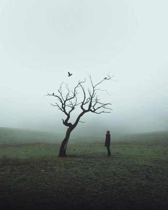 A cover of "Liminal" cluster. The owner is laurenledonne. The cluster consists of 19 elements.