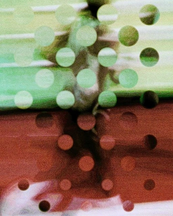 A cover of "Texture" cluster. The owner is mr300. The cluster consists of 16 elements.