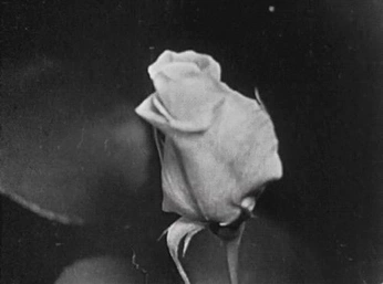 A cover of "Things" cluster. The owner is mariibrush. The cluster consists of 7 elements.