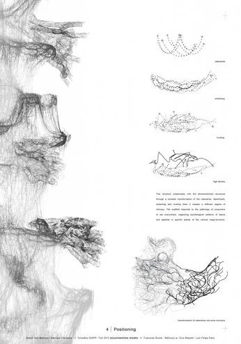 A cover of "studies" cluster. The owner is christophercao. The cluster consists of 25 elements.