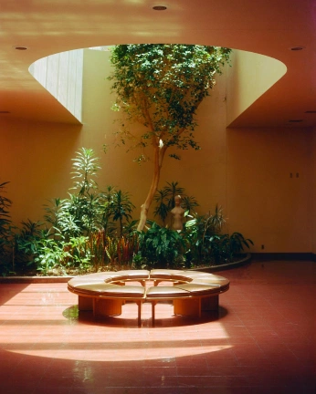 A cover of "Hotel Trópico Latino" cluster. The owner is andreanunez. The cluster consists of 12 elements.