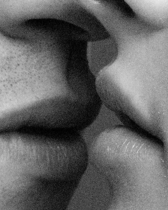 A cover of "Welmark®" cluster. The owner is merchantslabel. The cluster consists of 2 elements.