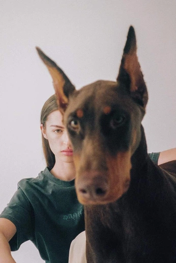 A cover of "PHOTO - COMPOSTION" cluster. The owner is cannonfort. The cluster description is "the photo compositions and Angles". The cluster consists of 41 elements.