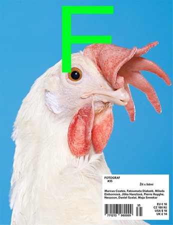 A cover of "Wild Pup" cluster. The owner is particulestudio. The cluster consists of 12 elements.