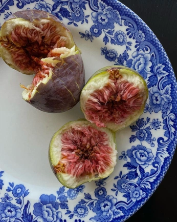 A cover of "food" cluster. The owner is cosmicerin. The cluster consists of 14 elements.