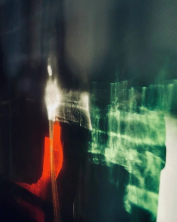 A cover of "180graden" cluster. The owner is steynphotography. The cluster consists of 10 elements.