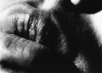 A cover of "stippling references" cluster. The owner is blackbruise. The cluster consists of 2 elements.