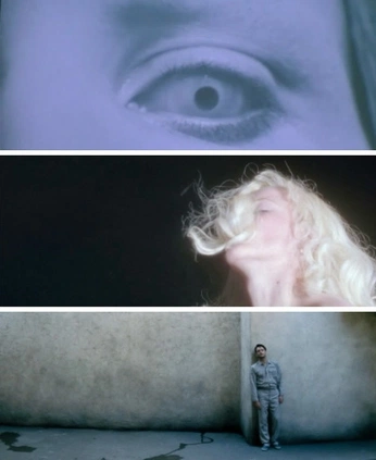 A cover of "ED_ Out Your Skin" cluster. The owner is johnnyart.work. The cluster consists of 104 elements.