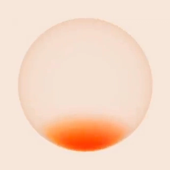 A cover of "autonomous details" cluster. The owner is andrzej. The cluster consists of 12 elements.