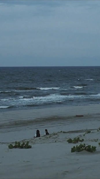 A cover of "animation inspo" cluster. The owner is madeedart. The cluster consists of 3 elements.