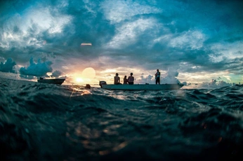 A cover of "Yellowfin" cluster. The owner is snackfarmer. The cluster consists of 26 elements.