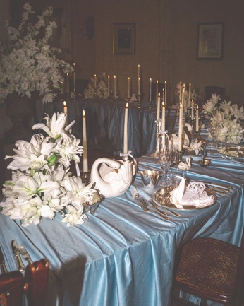 A cover of "tiff" cluster. The owner is jolbee. The cluster consists of 17 elements.