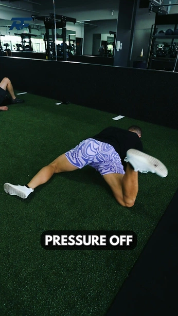 A cover of "Mobility" cluster. The owner is niko. The cluster consists of 494 elements.