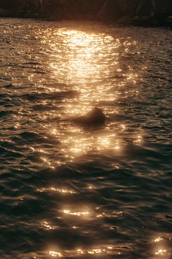 A cover of "visual diary" cluster. The owner is leonit. The cluster description is "personal work". The cluster consists of 24 elements.