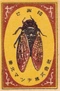 Cover of insects. cluster