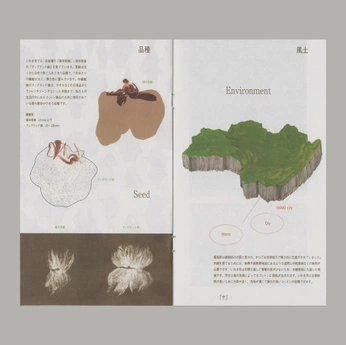 A cover of "NUMAN" cluster. The owner is fernanda.r. The cluster consists of 63 elements.