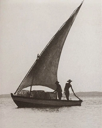 A cover of "Drawing" cluster. The owner is noka08. The cluster consists of 6 elements.