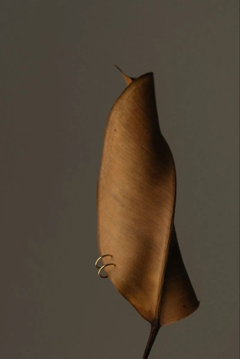 A cover of "HERBST" cluster. The owner is itsamanda. The cluster consists of 2 elements.