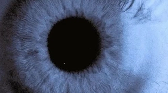 A cover of "Beauty" cluster. The owner is ochandler. The cluster consists of 4 elements.