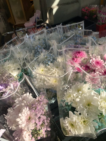 A cover of "Nature" cluster. The owner is rotigirl. The cluster consists of 49 elements.