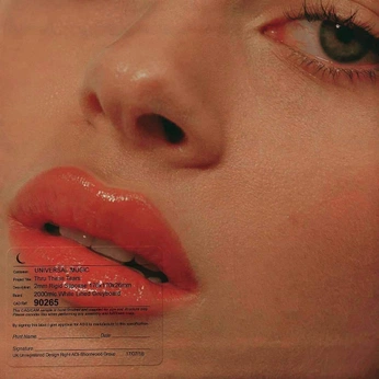 A cover of "LOFI COVER" cluster. The owner is ginaa.a. The cluster consists of 13 elements.