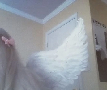 A cover of "🪽Fluttershy" cluster. The owner is httpguirio. The cluster consists of 16 elements.