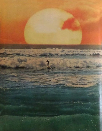 A cover of "surfing" cluster. The owner is selinoner. The cluster consists of 72 elements.