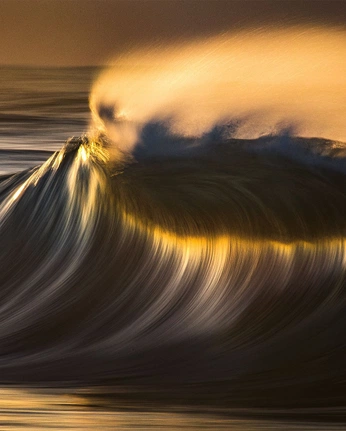 A cover of "Just vibes" cluster. The owner is thedani. The cluster consists of 10 elements.