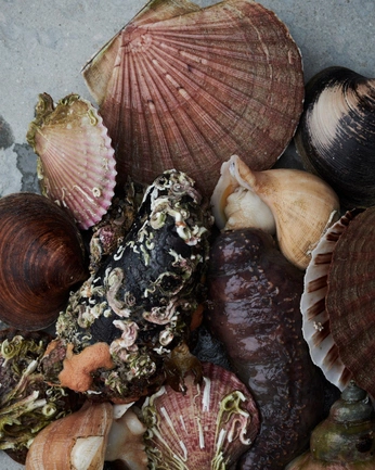 A cover of "tattoos" cluster. The owner is deetje. The cluster consists of 2 elements.