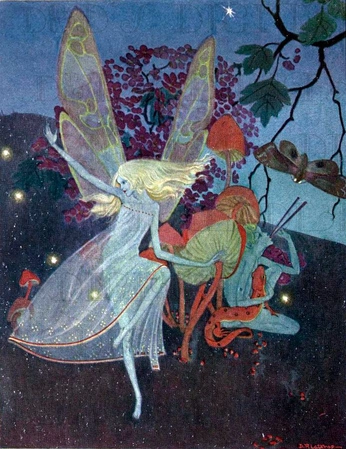 A cover of "fairy" cluster. The owner is cj.nich. The cluster consists of 3 elements.